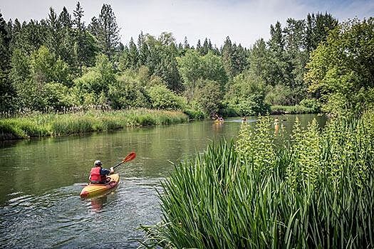 Riverside State Park7