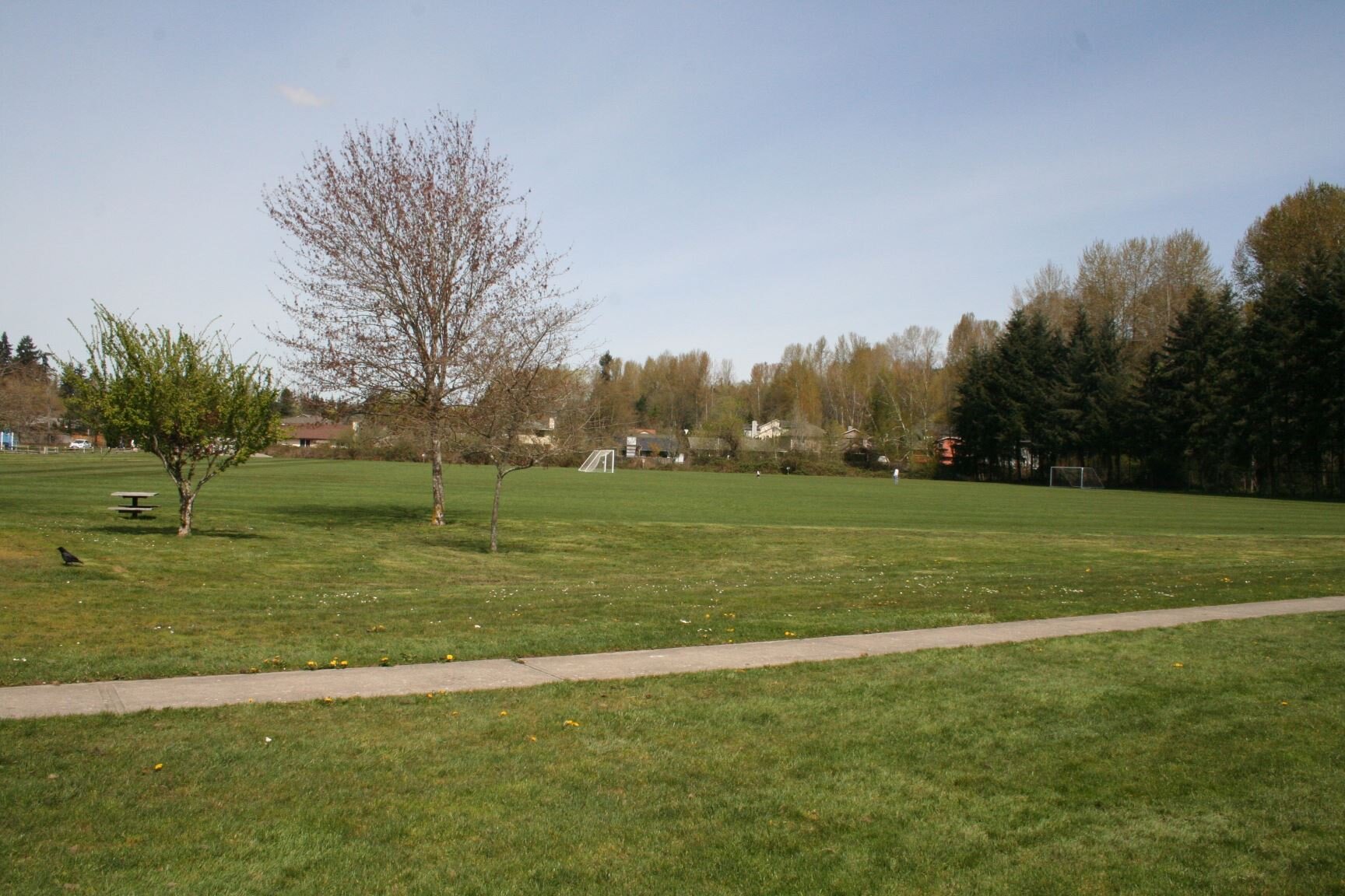 Forsgren Park2