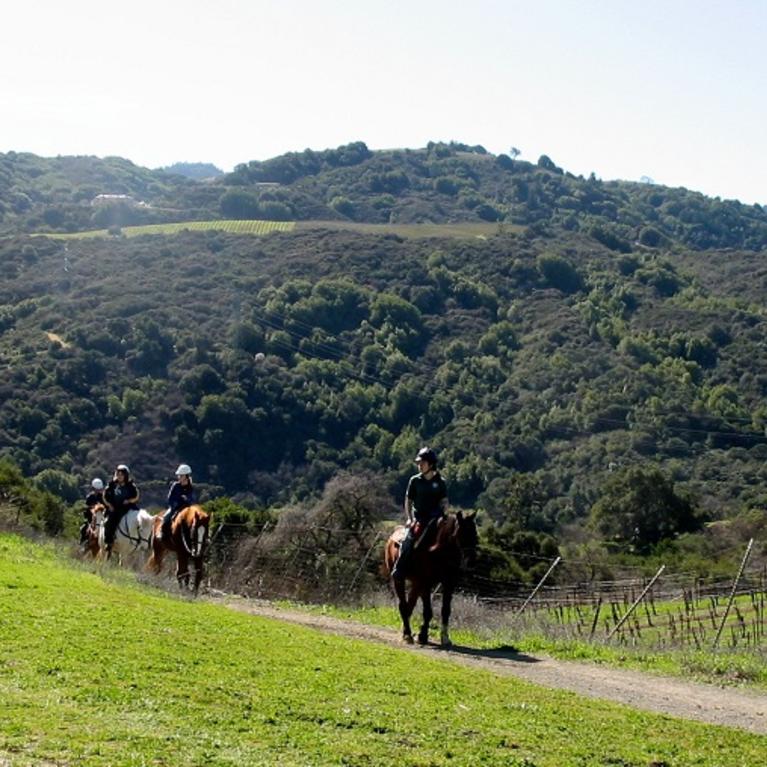 Garrod Farms and Stables 1