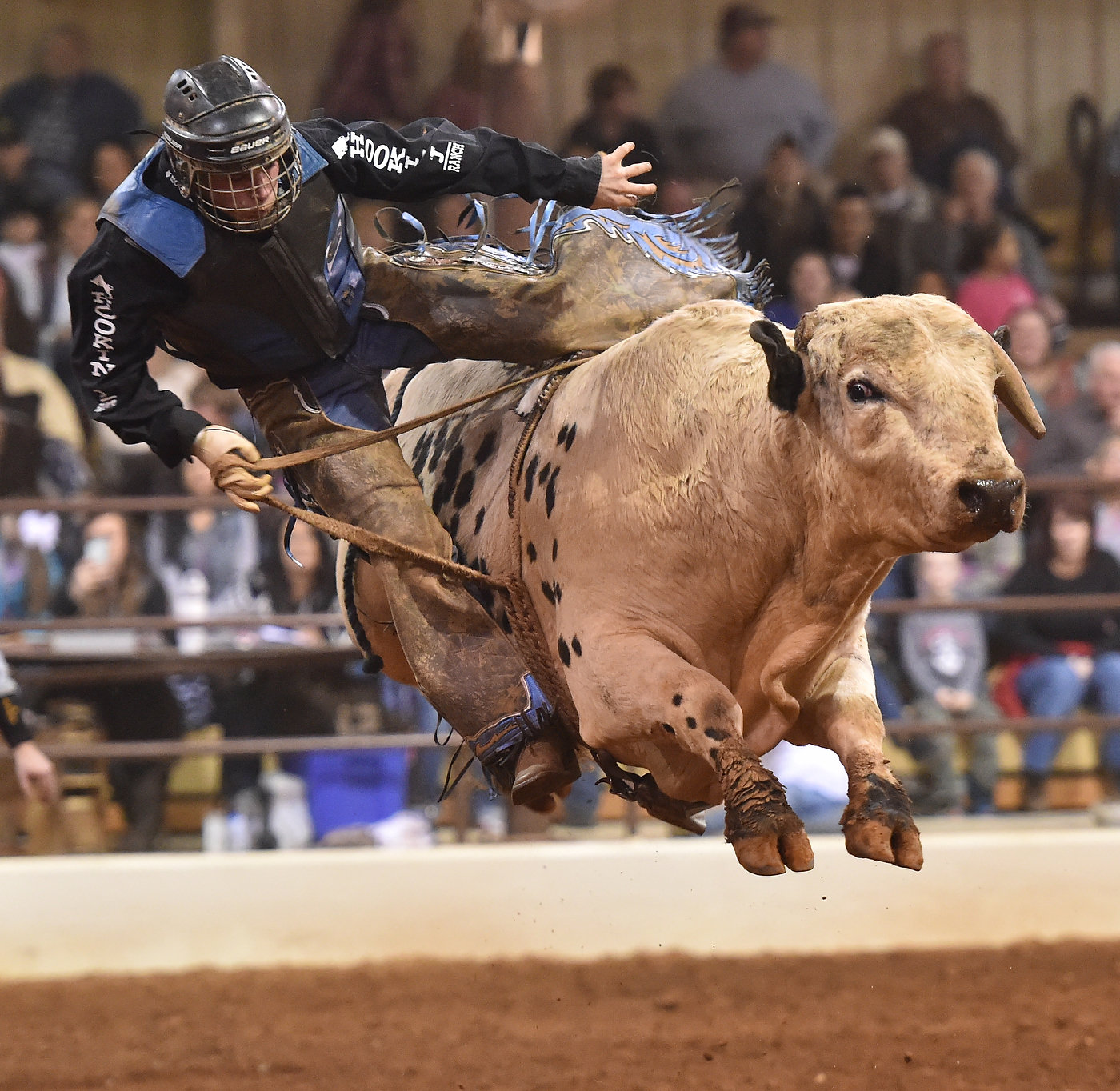 Shelby County Exhibition Center6