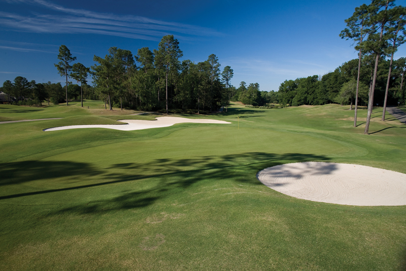 timber creek golf club mobile al