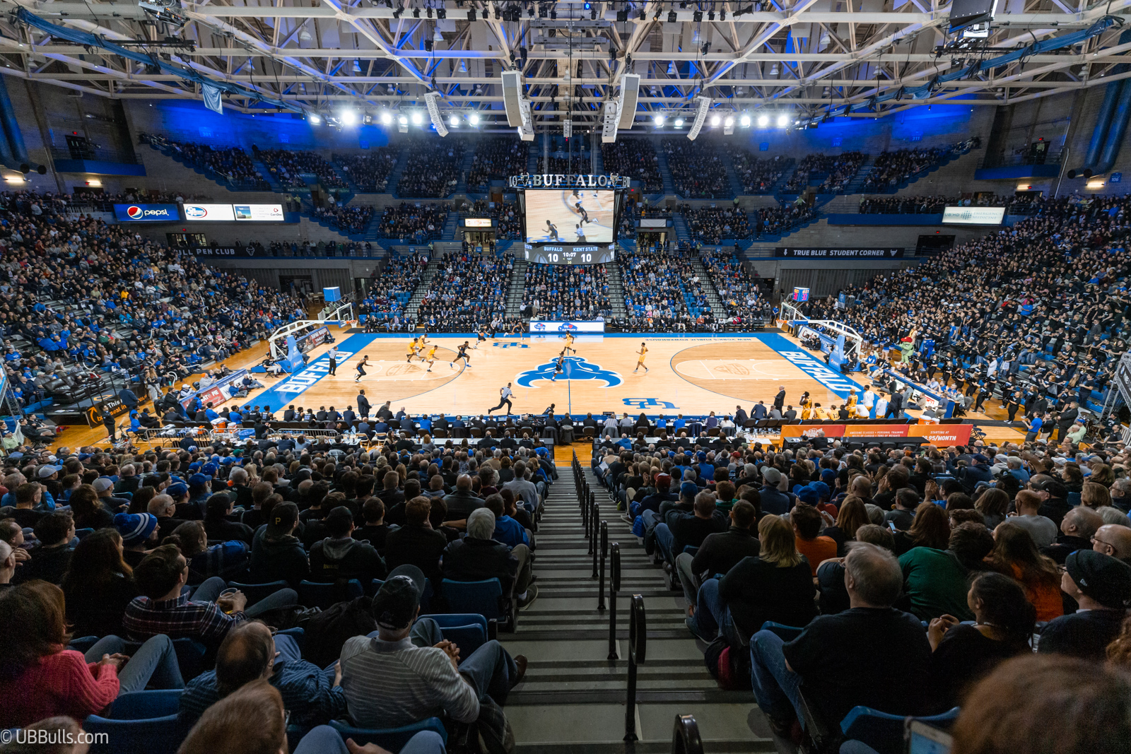 UB basketball.jpg