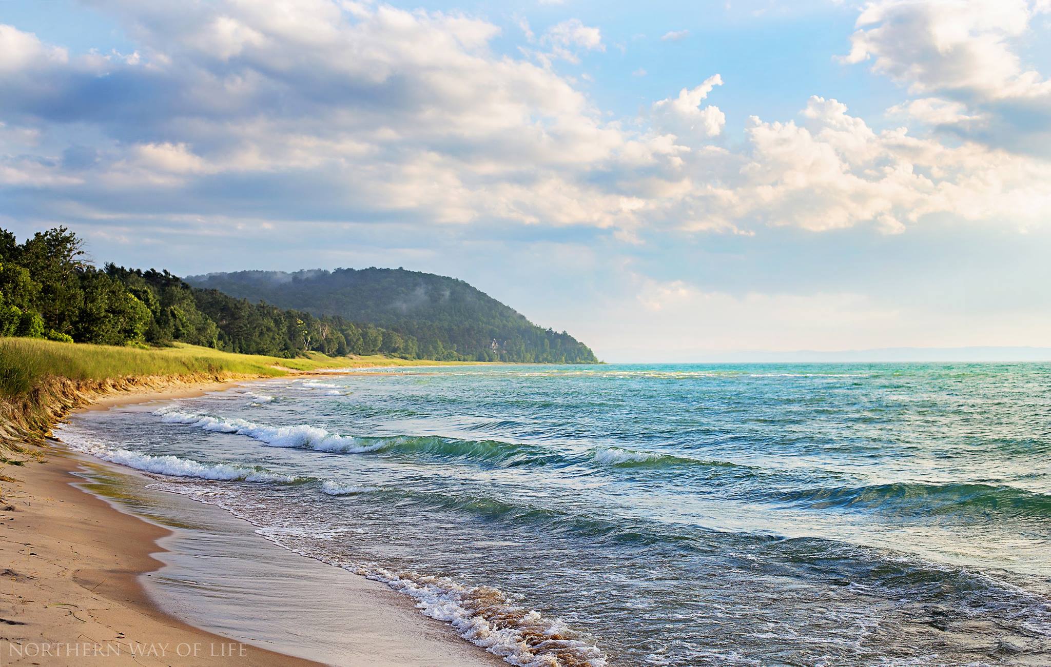 Van's Beach 1