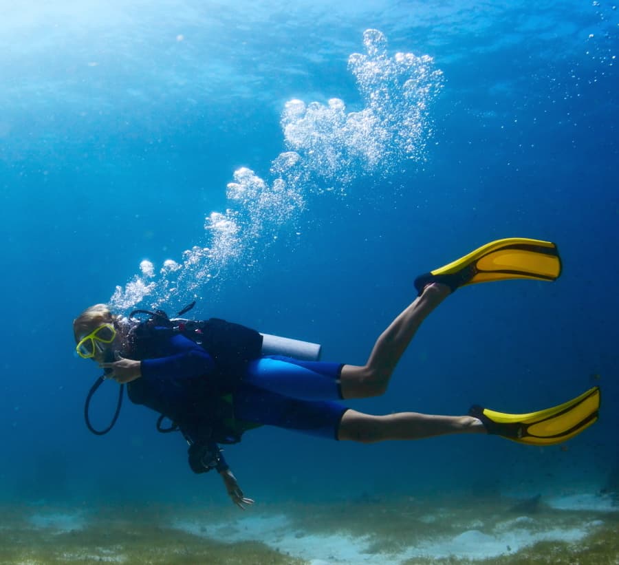 Bubbles or Not Diving 2