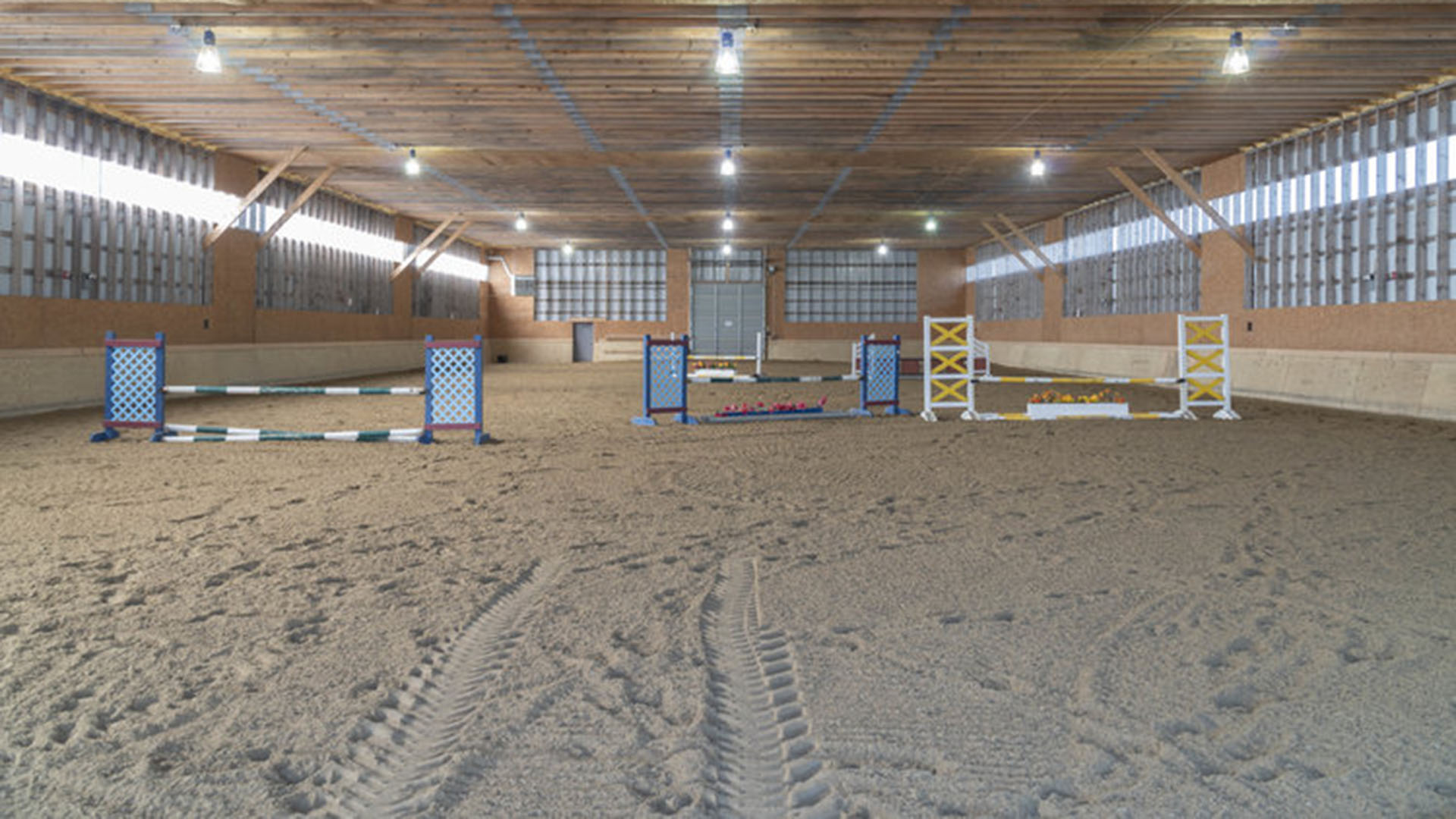 Nora Harris Equestrian